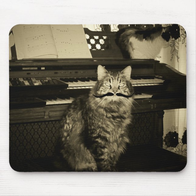 Jag Mustache spelar ut dig Musmatta (Framsidan)