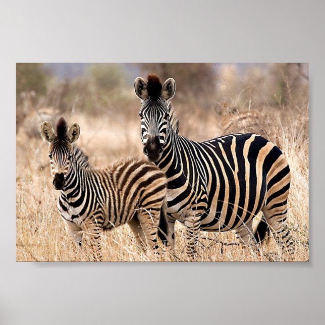 Jag och mamma poster (Framsidan)