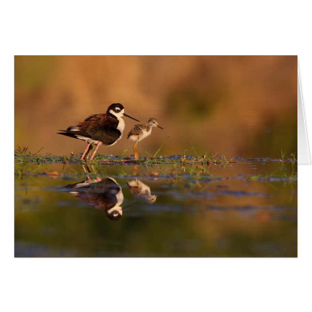 Jag och min chick OBS kort (Framsidan Horizontal)