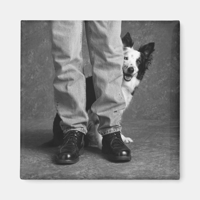 Jag och min skugga - Collie Hund Magnet (Framsidan)