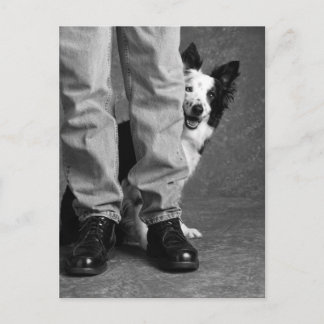 Jag och min skugga - Collie Hund Vykort