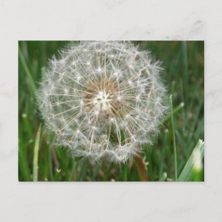 Jag önskar att du var här vykort