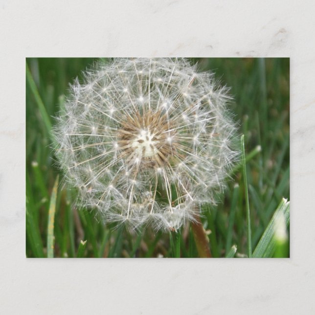 Jag önskar att du var här vykort (Framsida)