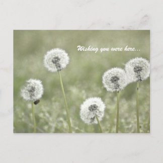 Jag önskar att du var här... vykort