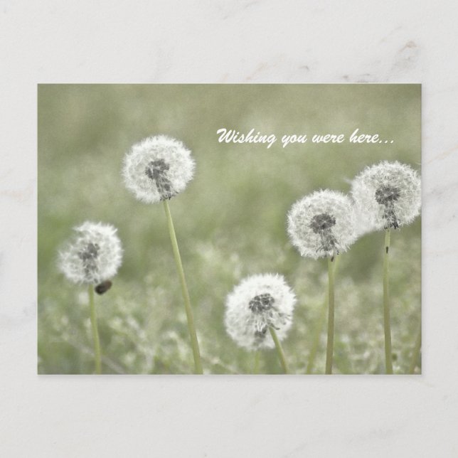 Jag önskar att du var här... vykort (Framsida)