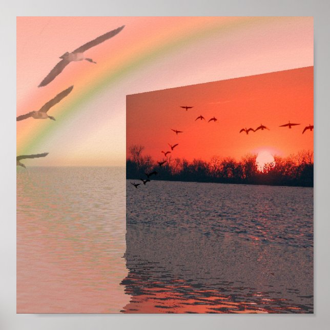 Jag önskar att jag kunde Fly Poster (Framsidan)