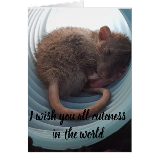 Jag önskar dig all cuteness i världen hälsningskort