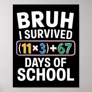 Jag överlevde 100 dagar i skolan Bruh matteekvatio Poster