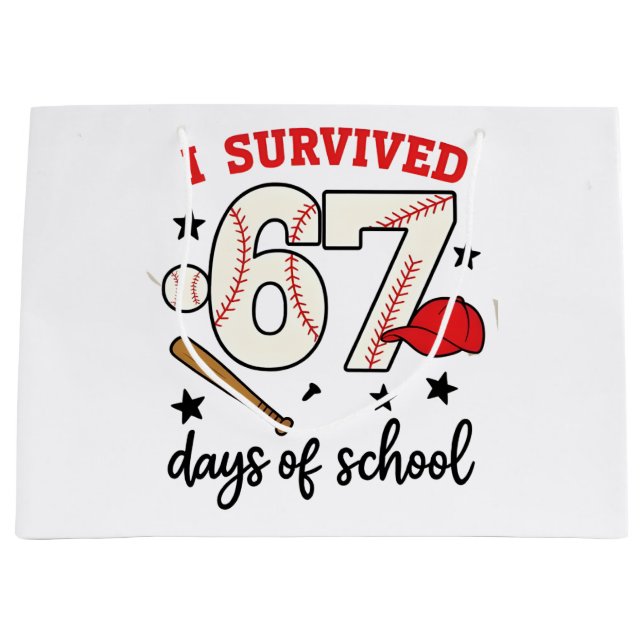 Jag överlevde 67 dagar av skolbasebollsport 100   (Framsidan)