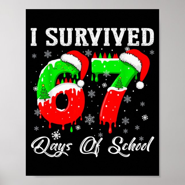 Jag överlevde 67 skoldagar Rolig jul  Poster (Framsidan)
