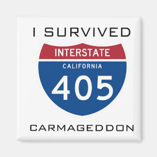 Jag Överlevde Carmageddon Magnet
