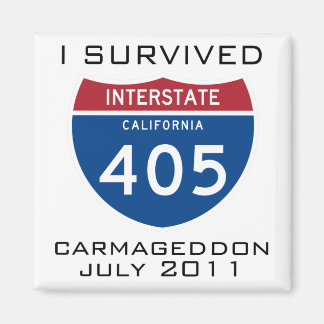 Jag Överlevde Carmageddon Magnet