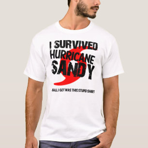 jag överlevde den sandiga orkanen, och allt I-har T-shirt