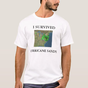 JAG ÖVERLEVDE DEN SANDIGA ORKANEN TEE SHIRT