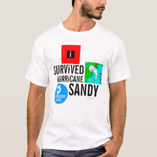Jag överlevde den sandiga orkanen undertecknar tröja