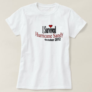 Jag överlevde den sandiga T-tröja för orkanen T Shirt