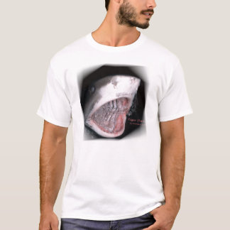 Jag överlevde hajdykning tee