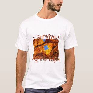 Jag Överlevde Hogwarts Canyon, North Tvätta, Utah T Shirt