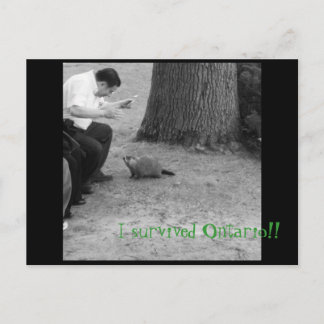Jag överlevde Ontario!! Vykort