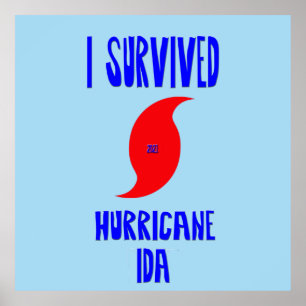 Jag Överlevde orkanen Ida Poster