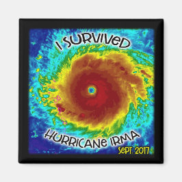 Jag Överlevde orkanen Irma Magnet