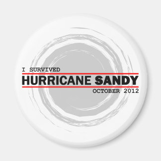 Jag Överlevde orkanen Sandy Magnet
