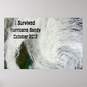 Jag Överlevde orkanen Sandy Poster