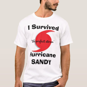 Jag överlevde SANDIGT T Shirt