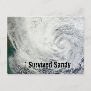 Jag Överlevde Sandy Postcard Vykort