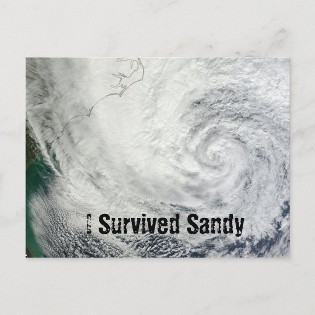 Jag Överlevde Sandy Postcard Vykort (Framsida)