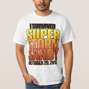 Jag överlevde toppna den sandiga stormorkanen tee shirt