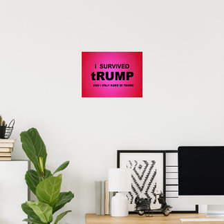 Jag överlevde tRUMP Poster