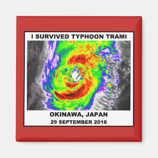 Jag Överlevde Typhoon Trami Magnet