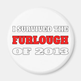 Jag överlevde ugnen 2013 magnet