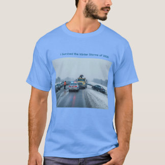 Jag överlevde vinterstormarna 2026 t shirt