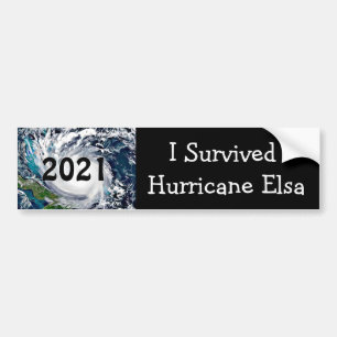 Jag Överlevt orkanen Elsa 2021 Bildekal