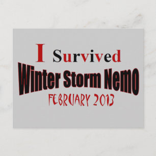 Jag Överlevt Winter Storm NEMO-vykort Vykort