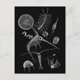 Jag ❤ PLANKToN vykort