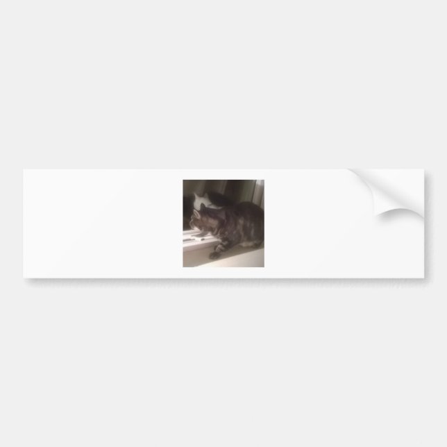 Jag pratar inte med Dave Bumper Sticker. Bildekal (Framsidan)