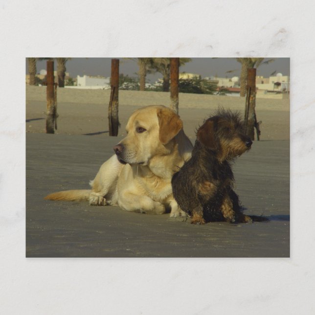 Jag pratar inte med dig vykort (Framsida)