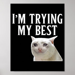 Jag provar min roliga gråtande katt meme män kvinn poster