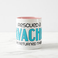 Jag räddade design för Cavachon (en kvinnlig)
