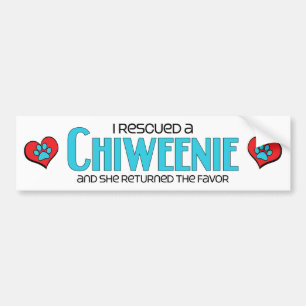 Jag räddade design för Chiweenie (en kvinnlig) Bildekal