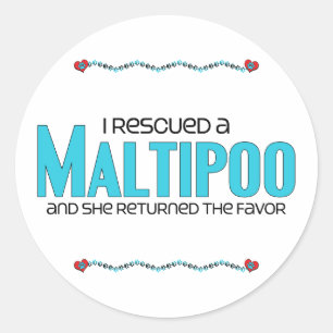 Jag räddade design för Maltipoo (en kvinnlig) Runt Klistermärke