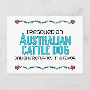 Jag räddade en australisk Hund (kvinnlig Hund) Vykort