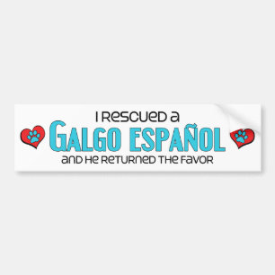 Jag räddade en Galgo Español (den Male hunden) Bildekal