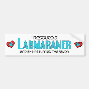 Jag räddade Labmaraner (en kvinnlig) hundadoption Bildekal