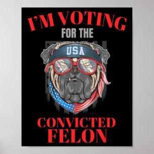Jag röstar för den dömda felon Funny Pro Trump Poster