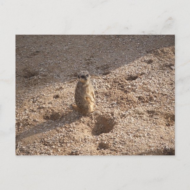 Jag såg det här och tänkte på dig! vykort (Framsida)