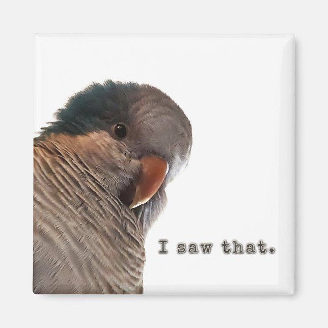 Jag såg det magnet (Framsidan)